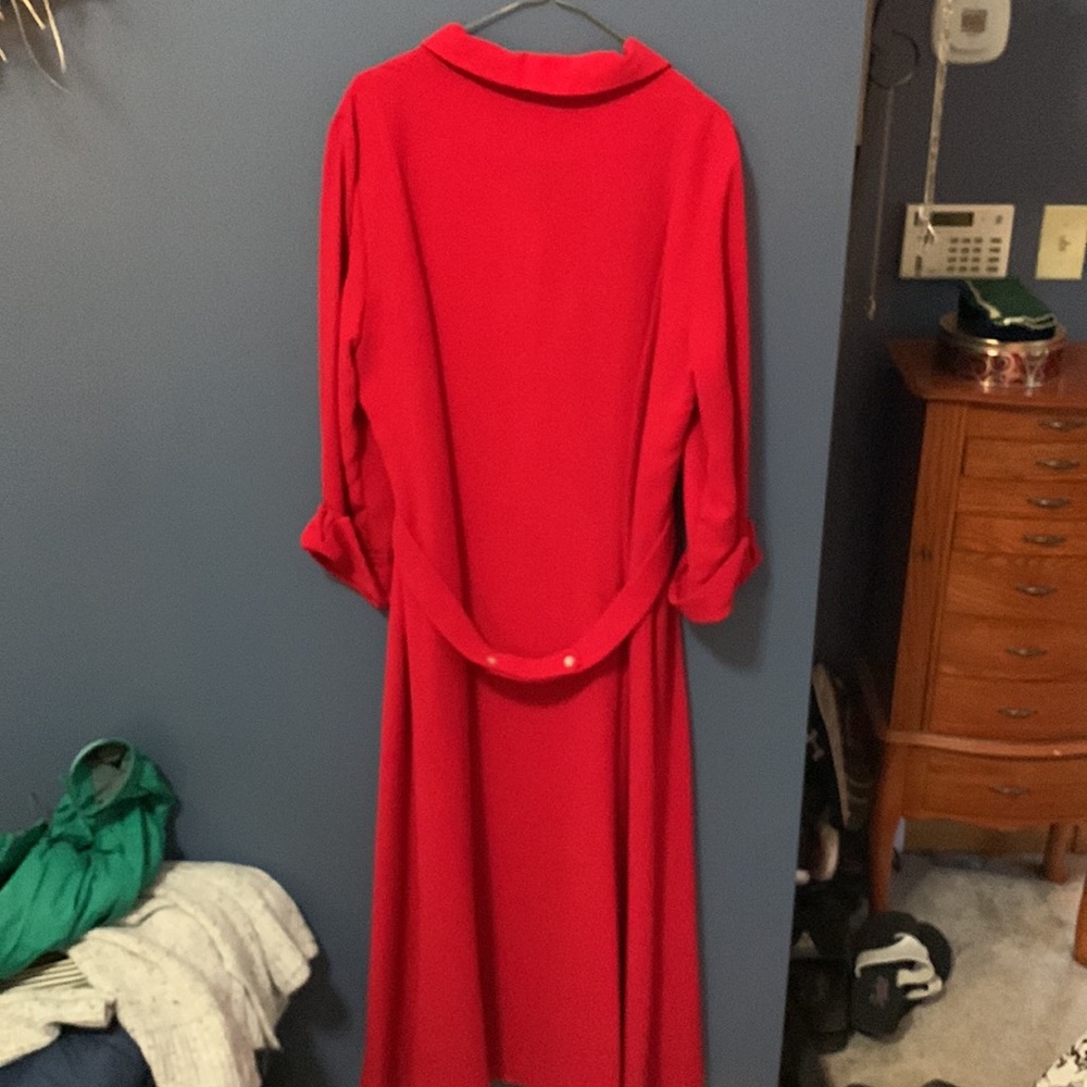 Red Collared Dress - Picture 6 of 7